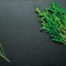 Low Histamine Food, Creamy Arugula Soup
