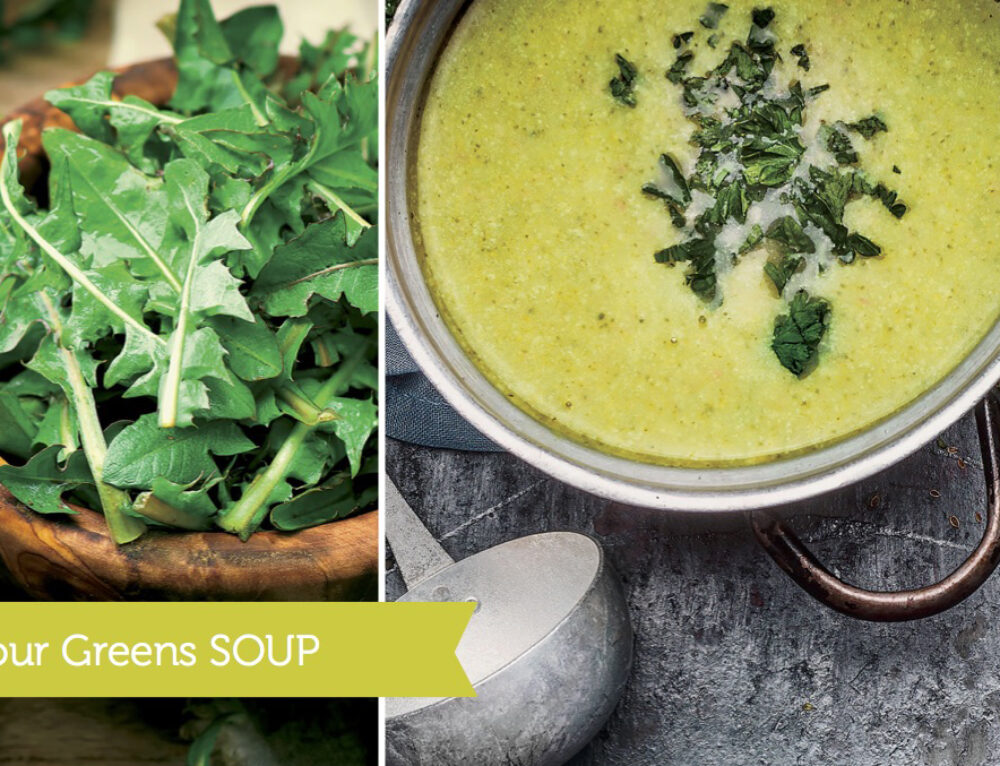 How to support your Detox System